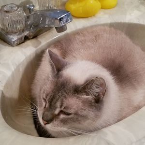 Meet your Posher, Mary